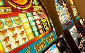 sumo slot